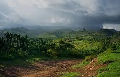 Kamamu gyav